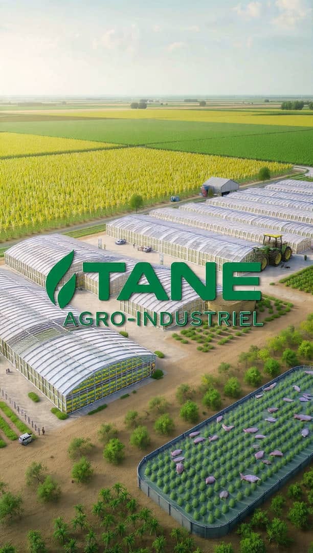 De commerçant ambulant à entrepreneur agro-industriel : l’incroyable parcours de Diouldé Tané Diallo