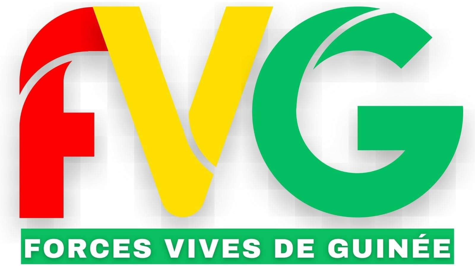 Guinée : Les Forces Vives invitent la population à observer une journée "ville morte" lundi 12 août 2024