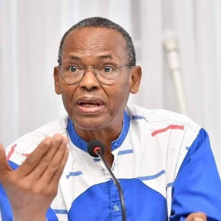  « Rien ni personne ne réussira à me faire taire « , Tierno Monénembo