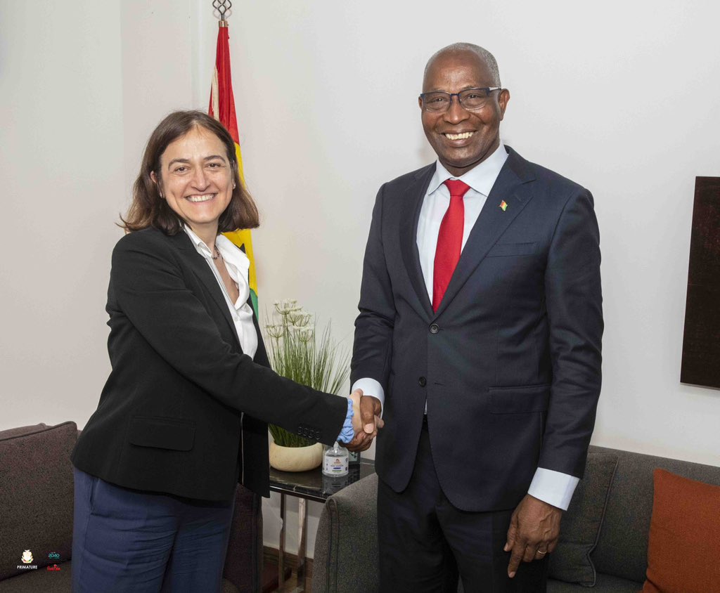 Économie: le Premier Ministre Amadou Oury Bah reçoit une mission technique du FMI