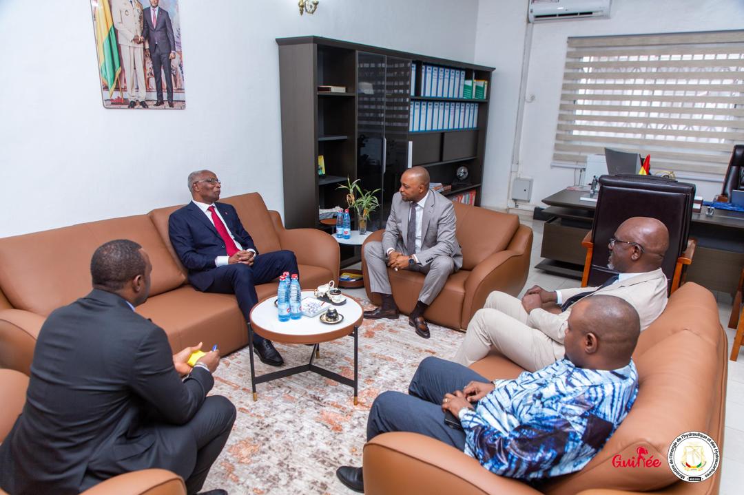 Électricité de Guinée: Au moins deux millions de clients fictifs (officiel )